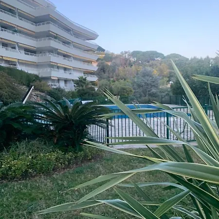 Vue Apartment *